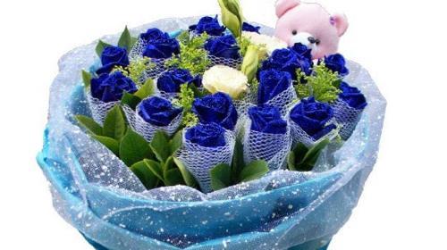 蓝色的崭新意义——以十一朵蓝玫瑰代表什么意思（深入解读蓝玫瑰的象征意义，探索其内涵与传承的关键）