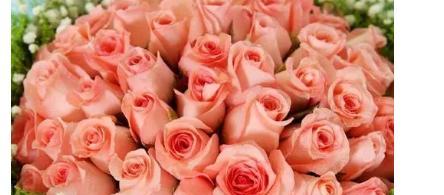 十一朵玫瑰的花语（传递爱与美的十一朵玫瑰）