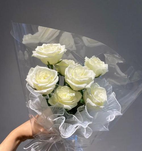 送白玫瑰的含义与象征（白玫瑰，传递纯洁与尊敬的花语）