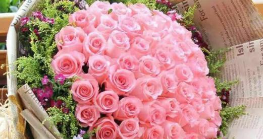 粉色玫瑰的意义及象征（浪漫唯美的代表，情感与祝福的使者）