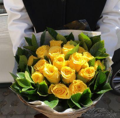 黄玫瑰的花语与象征意义（探寻黄玫瑰背后的情感与情境）