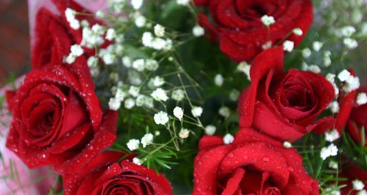 玫瑰花朵数的含义（用玫瑰花表达爱意，花朵数有何深意？）