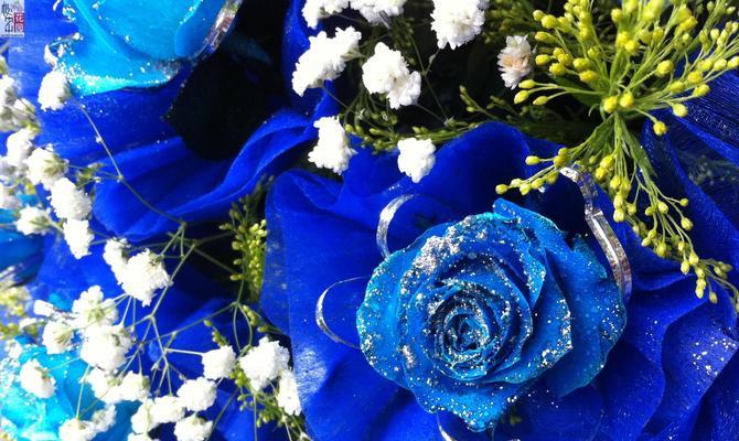 一支蓝玫瑰的象征意义（用花语表达深情）