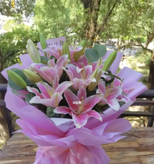 香水百合的花语之美（探秘香水百合的开花周期与花语）