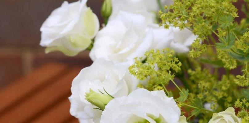 洋桔梗花语与美丽的白色花朵（揭开洋桔梗的花语之谜，探索白色花朵的魅力）