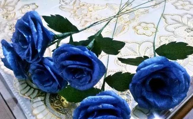 一朵蓝玫瑰的象征意义（寓意深远的蓝玫瑰，探寻其隐藏的秘密）