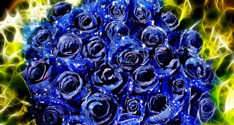 蓝色妖姬的花语——浪漫与神秘之美（揭秘一朵蓝色妖姬的花语之谜）