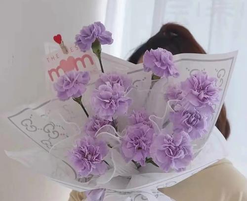 紫色康乃馨花语与情感的纽带（探寻紫色康乃馨背后的深刻寓意）