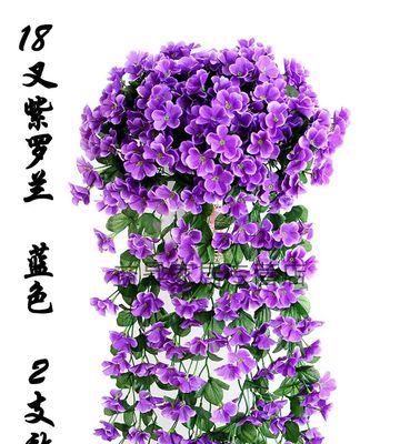 紫色马蹄莲的花语及传说故事（解读紫色马蹄莲的象征意义，了解其在文化传说中的地位）