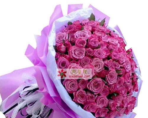 紫色玫瑰的花语（探索紫色玫瑰的寓意与象征，感受其独特之美）