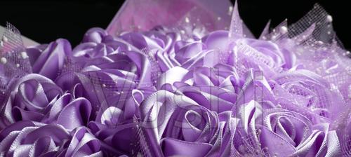 紫色玫瑰花的寓意与象征（探寻紫色玫瑰花的深层含义）