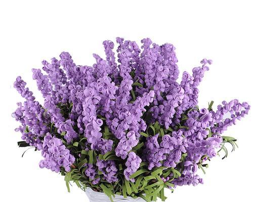 紫色薰衣草的花语与寓意（探寻紫色薰衣草的15个寓意）