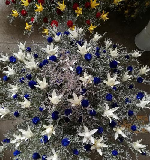 以情人草的花语（用花语传递爱意的神奇力量）