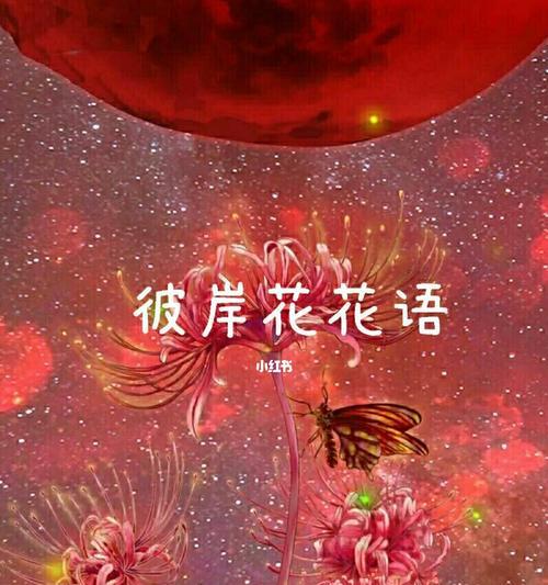 彼岸花，秋意盎然的美丽（绽放在寂寥秋日的孤芳，舞动生命的坚韧与柔情）