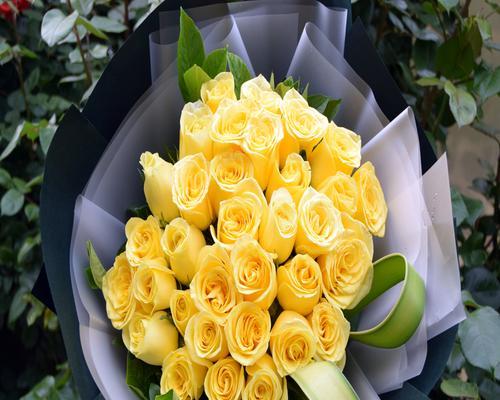 33朵黄玫瑰的深刻寓意（黄色的花海散发出的美丽与温暖）