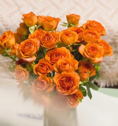 橙色玫瑰的花语与意义（用橙色玫瑰传递喜悦与激情）