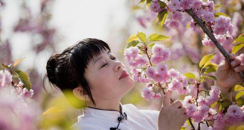 相遇于春天，樱花传递的花语（以冬樱花、重瓣樱花、樱花草为主题，感受春天的到来）