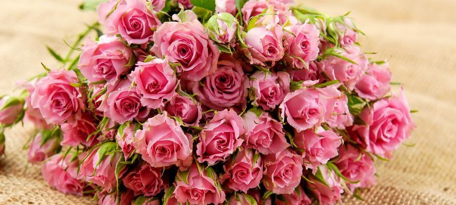 粉色玫瑰花的意义与象征（揭秘粉色玫瑰花所传达的情感与表达方式）