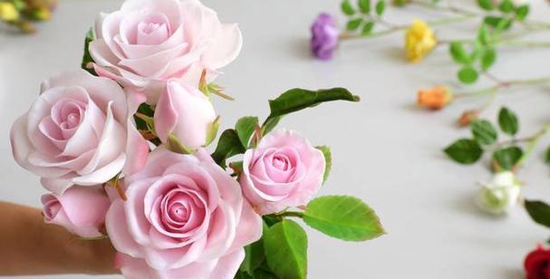 粉玫瑰的象征意义及其美丽传承（浪漫爱情与温柔优雅的化身——粉玫瑰的故事与寓意）
