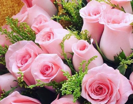 19朵粉玫瑰的寓意与表达方式（传达爱与关怀的花束——19朵粉玫瑰）