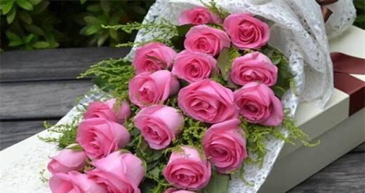 粉色玫瑰的浪漫意义（表达爱情和欣赏之美的粉色玫瑰）