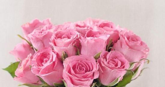 粉色玫瑰（探索粉色玫瑰的浪漫含义）