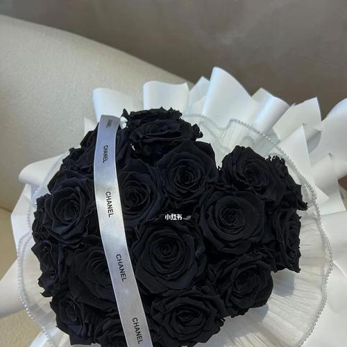 黑玫瑰的花语含义（黑玫瑰的花语揭示内心的真实想法与感受）