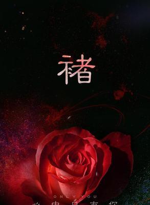 黑色玫瑰花语（探寻黑色玫瑰花语的含义与传说）