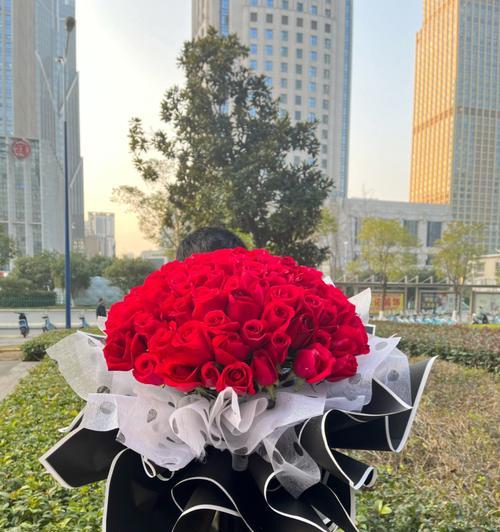 红玫瑰花的含义及象征作用（探究红玫瑰花的浪漫、热情和爱情的象征意义）