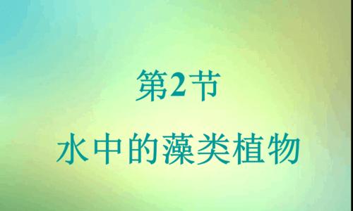 探究藻类植物的特征（从生物形态到环境适应）