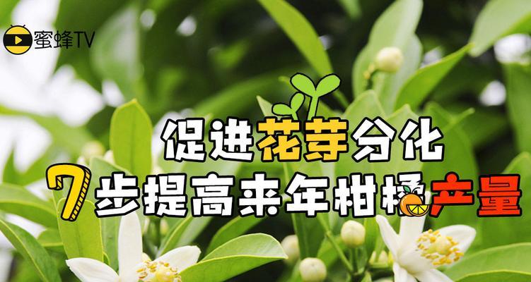 花芽分化（探索植物花芽分化的意义和过程）