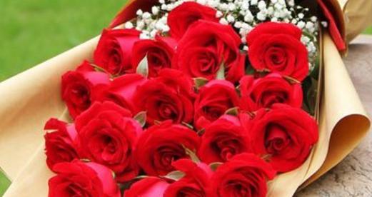 浪漫之花——玫瑰花的象征意义（探秘玫瑰花的各种含义，送花不再迷茫）