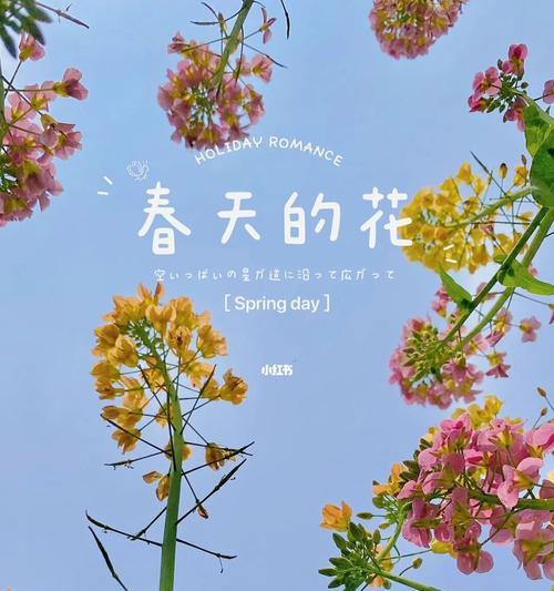 春天花开，缤纷绽放（迎春赏花，不容错过的美景）