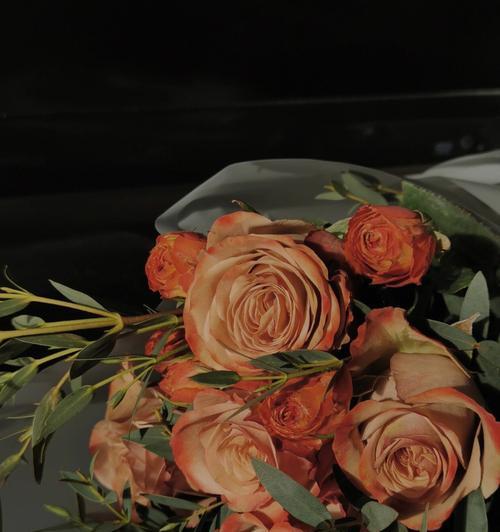 卡布奇诺玫瑰的花语及其寓意（探索卡布奇诺玫瑰的深层含义，了解其花语和象征意义）