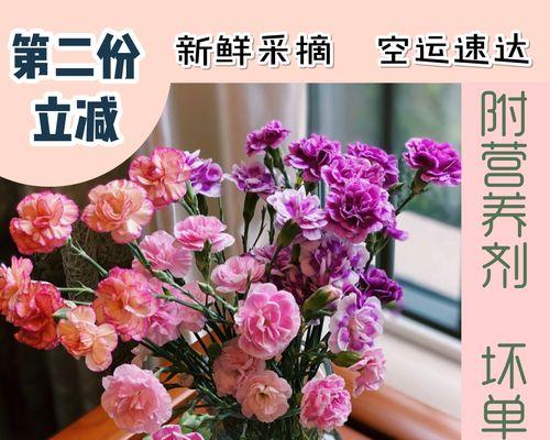 康乃馨花的象征意义（浪漫之花与真爱的象征）