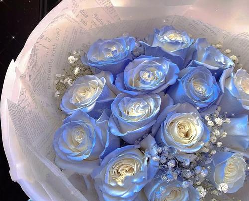 蓝玫瑰的象征意义与美丽传说（探秘蓝玫瑰的浪漫寓意及传说背后的故事）
