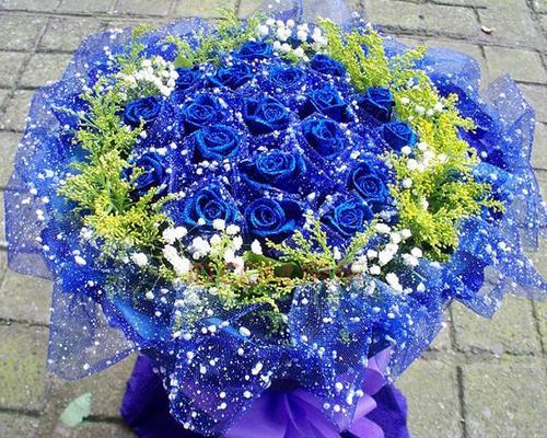 蓝玫瑰（蓝玫瑰的象征意义及种植方法）