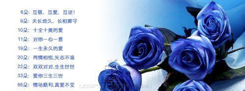 以蓝玫瑰的寓意与意义（探寻蓝玫瑰背后的诗意之花）