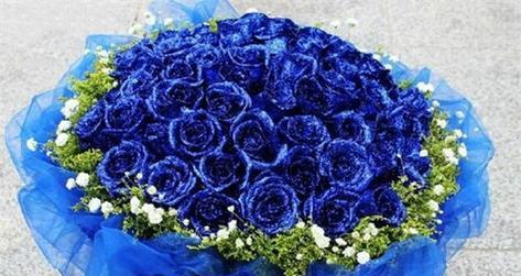 蓝色的玫瑰花（独特色彩与深意交织的花语之旅）