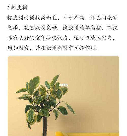 打造门口最旺宅，这些植物必不可少！（掌握秘诀，让家门前四季花开，迎来好运气！）