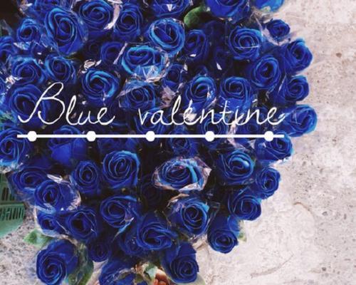 蓝色玫瑰的意义与象征（深入解读蓝色玫瑰的美丽与神秘）