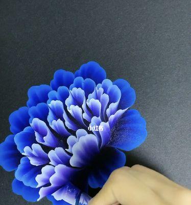 蓝色牡丹花的象征意义（探寻蓝色牡丹花的神秘魅力）