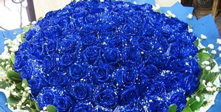 蓝色妖姬的花语——美丽与神秘的象征意义（揭秘蓝色妖姬花的15种花语，其中一个令你心动）