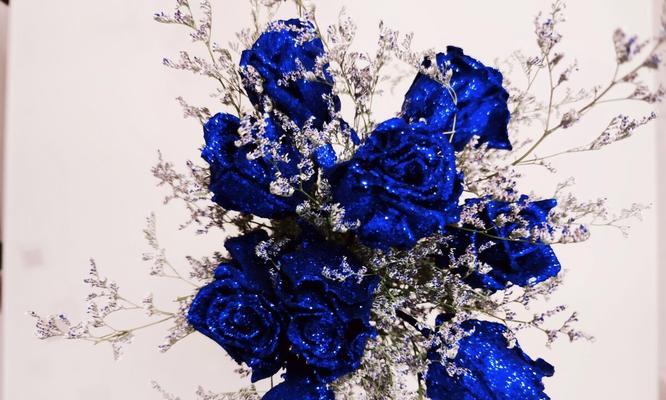 蓝色妖姬玫瑰花之神秘花语（探寻蓝色妖姬玫瑰花的传说与象征）