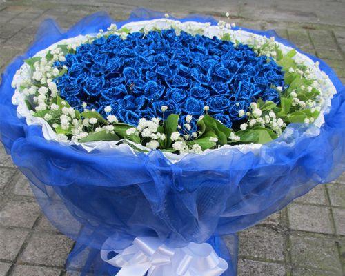 美丽的蓝色妖姬与她的花语（揭秘蓝色妖姬的魅力与花之语言）