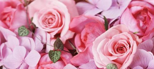 99朵红玫瑰的花语——爱情的浪漫与承诺（浓情蜜意传递的99朵红玫瑰，诠释爱情的深情厚意）
