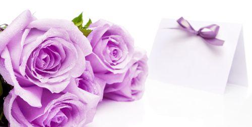 玫瑰花语之美——爱的传递（以玫瑰的花语，表达爱与情感）