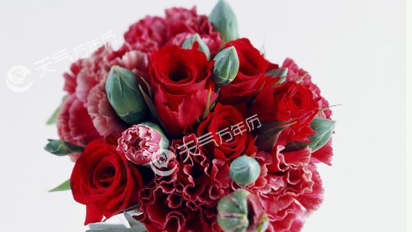 玫瑰花的象征意义——美丽、爱情和纯洁（揭秘玫瑰花的神秘符号和心灵共鸣）