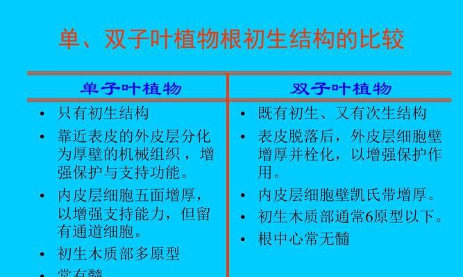 探秘根的分类和功能(从植物根系到人体器官,全面解读根的奥秘)_花植网