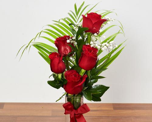 玫瑰花的花语与意义（深入解读玫瑰花的象征意义，揭示其中蕴含的爱情、美丽和尊重）
